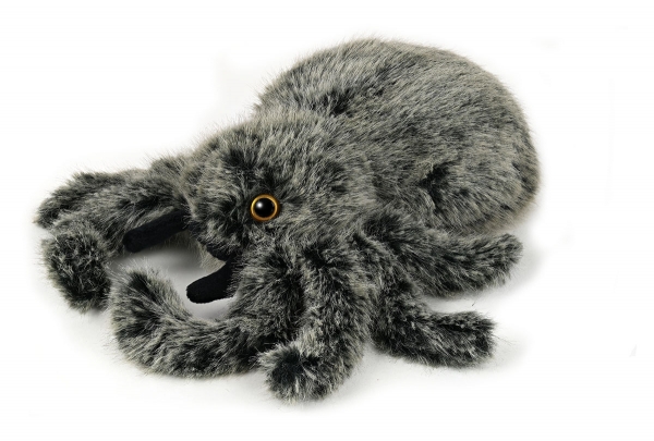 Tarantel, große schwarze Spinne